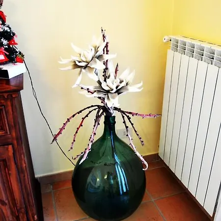 Apartment Il Fiore Del Golfo *